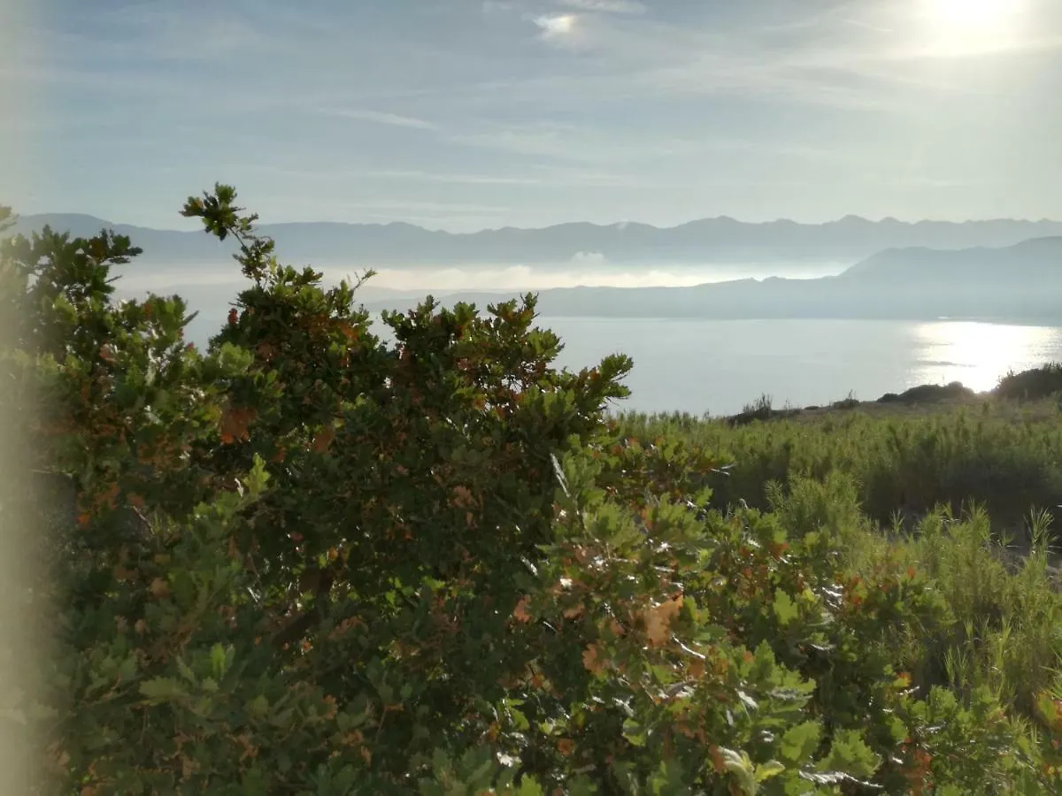 Apartman Koncek Bosana Croatia